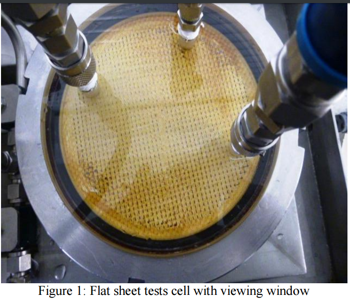 Flat sheet tests cell with viewing window